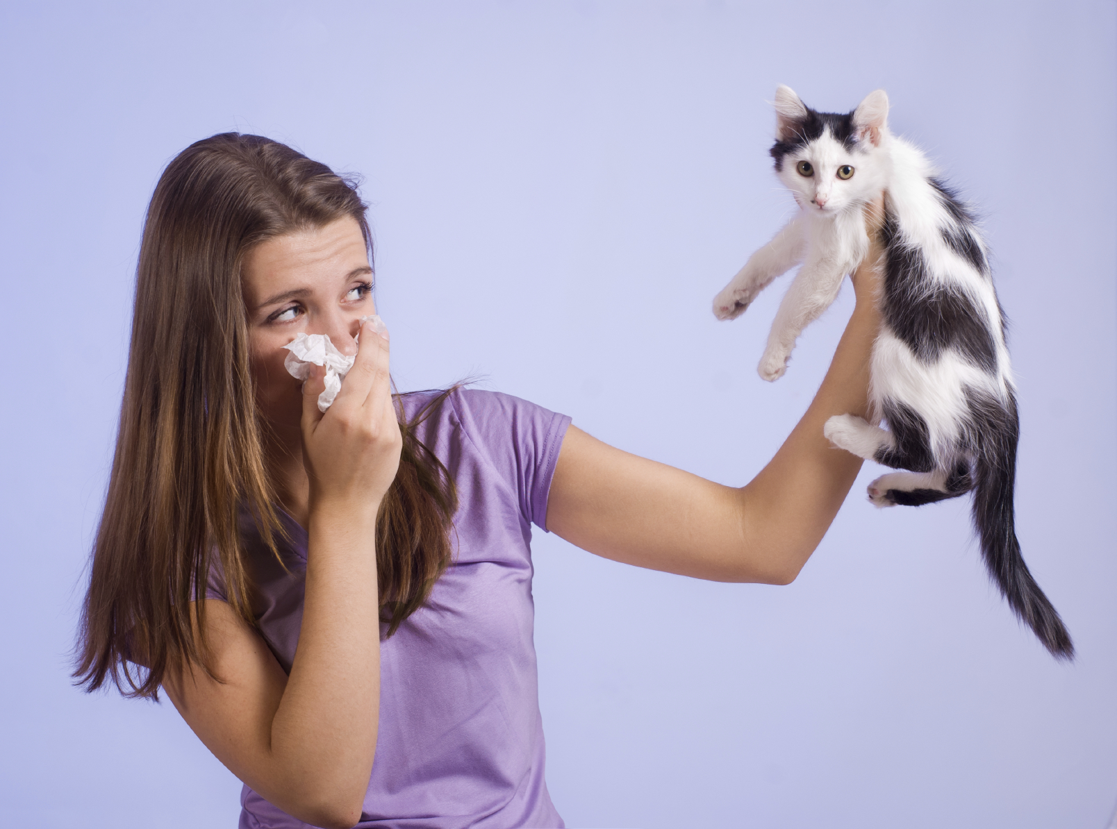 Аллергия на животных и как с ней жить